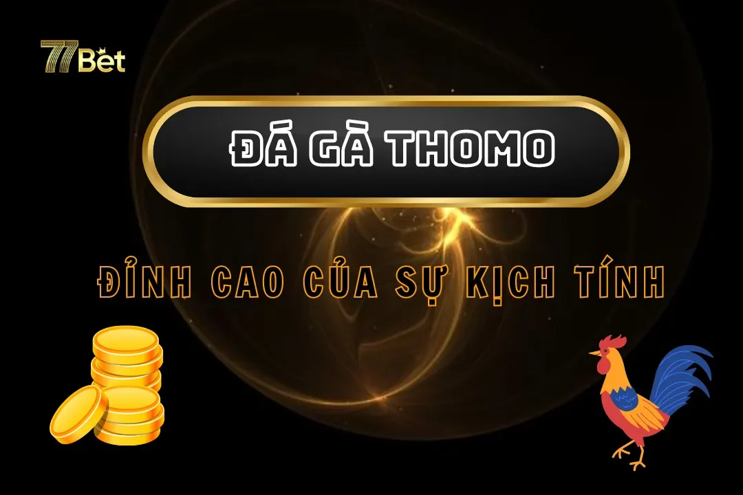 Trải Nghiệm Đá Gà Thomo Tại 77bet – Đỉnh Cao Của Sự Kịch Tính